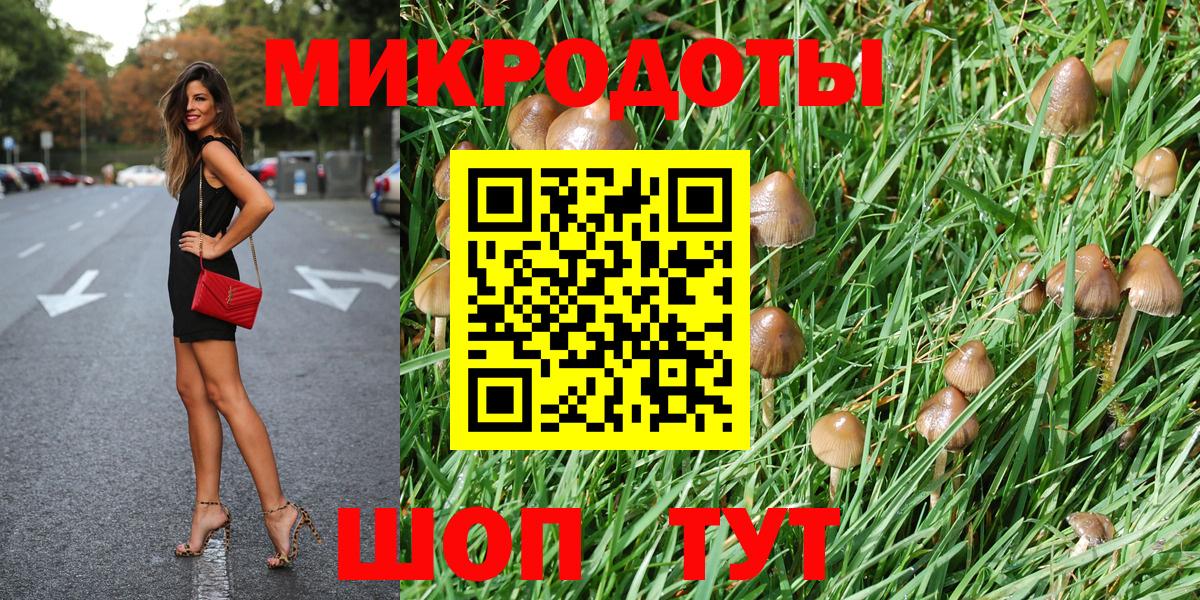 Красноярск  купить   Вход с VPN  Псилоцибиновые грибы Psilocybe 
